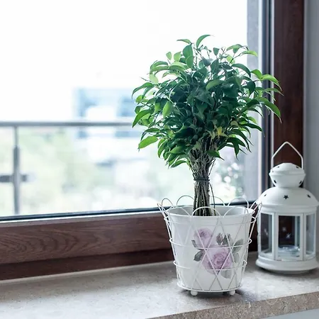 Dream&travel Apartment Krakau